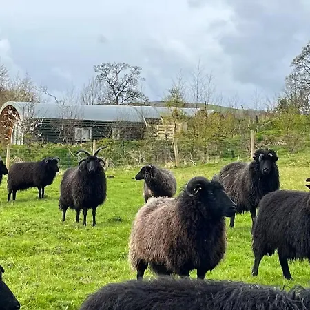 Grange Beck Farm Glamping